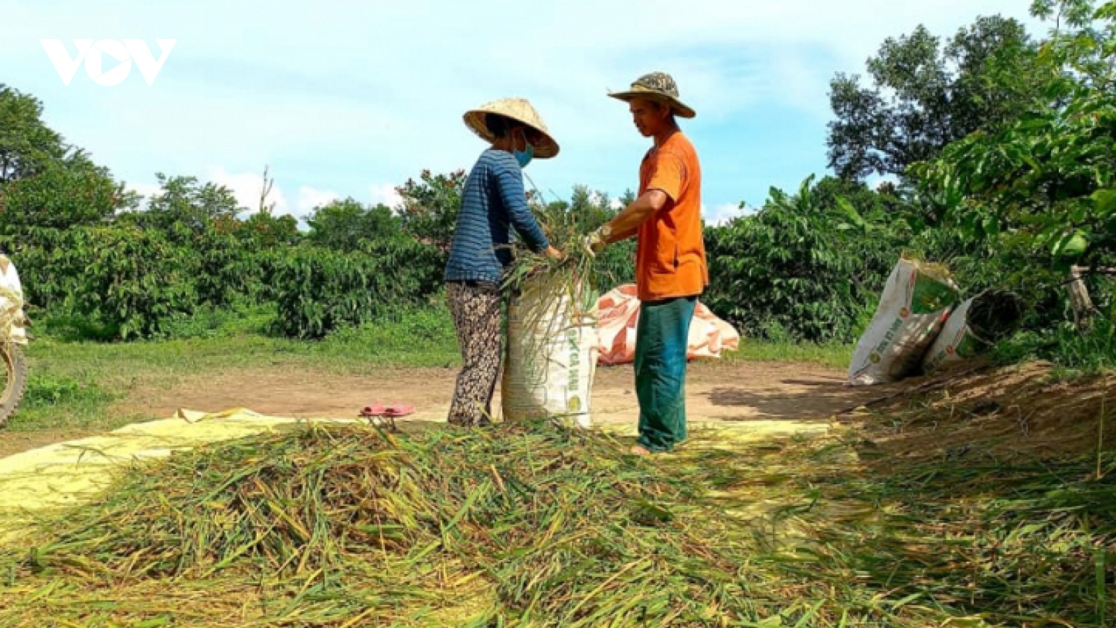 Đắk Lắk: Bình thường mới ở những vùng tâm dịch