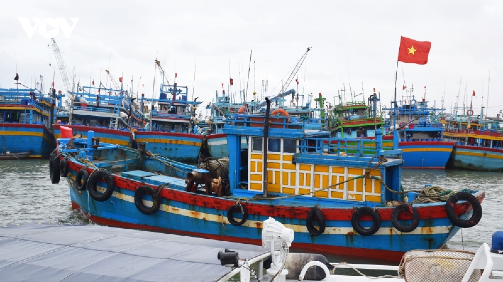 Bộ đội Biên phòng Bình Định vận động ngư dân neo đậu tàu thuyền tránh bão RAI