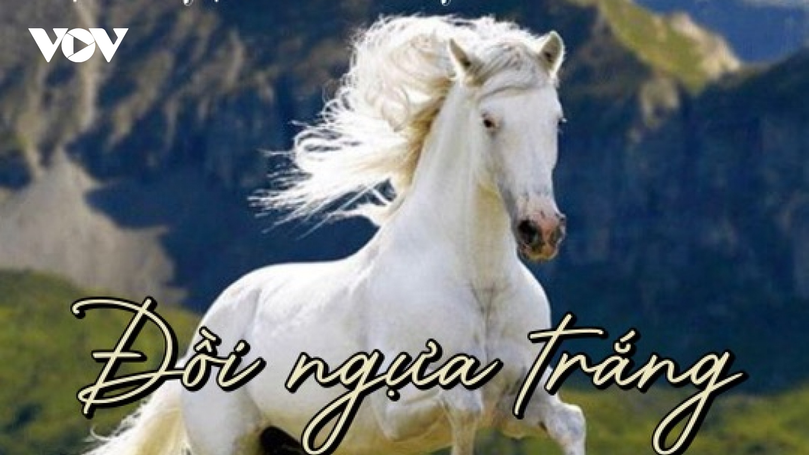 "Đồi ngựa trắng" - truyện ngắn hay của Nguyễn Quang Thiều