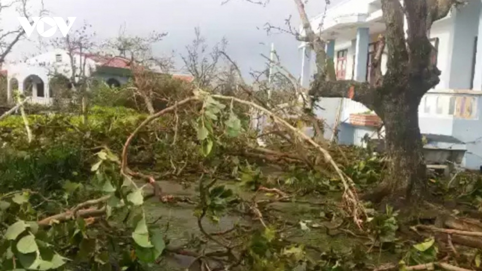 Các tỉnh Nam Trung bộ chủ động ứng phó bão số 9, đảm bảo an toàn tàu thuyền và người dân
