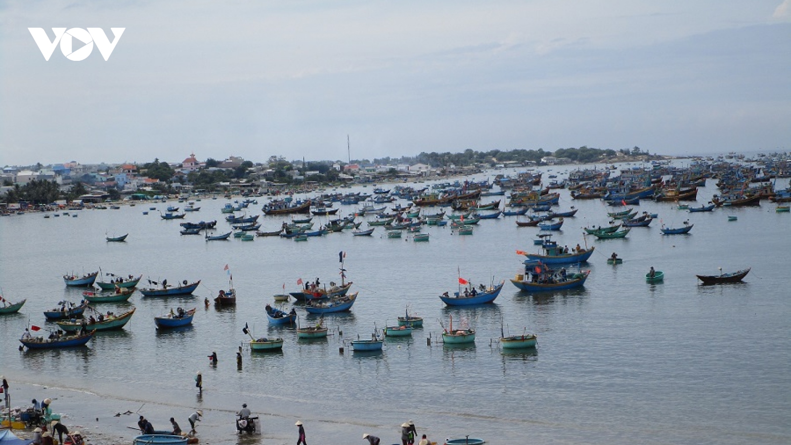 Bình Thuận sẽ không cấp phép đóng mới tàu cá nếu chủ vi phạm khai thác