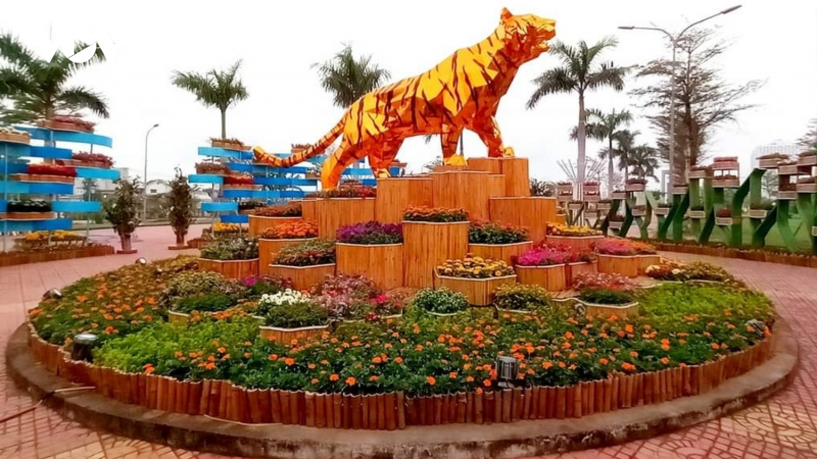 Khai mạc đường hoa Xuân Nhâm Dần 2022 tại Tuy Hòa