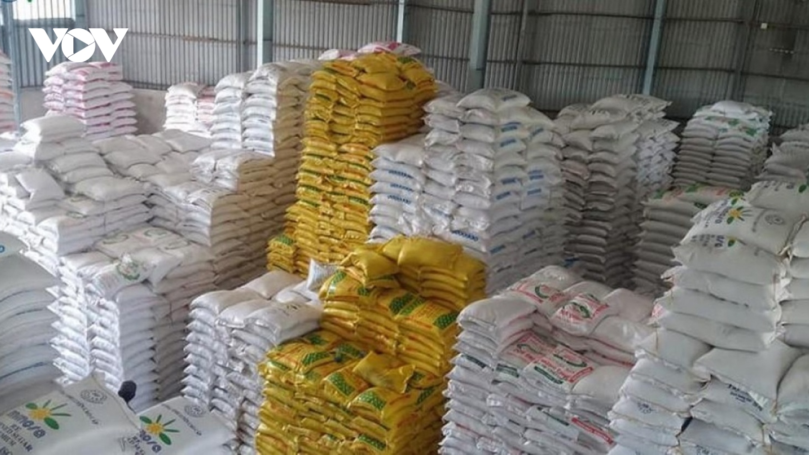 Chính phủ xuất cấp gạo hỗ trợ nhiều tỉnh dịp Tết Nguyên đán