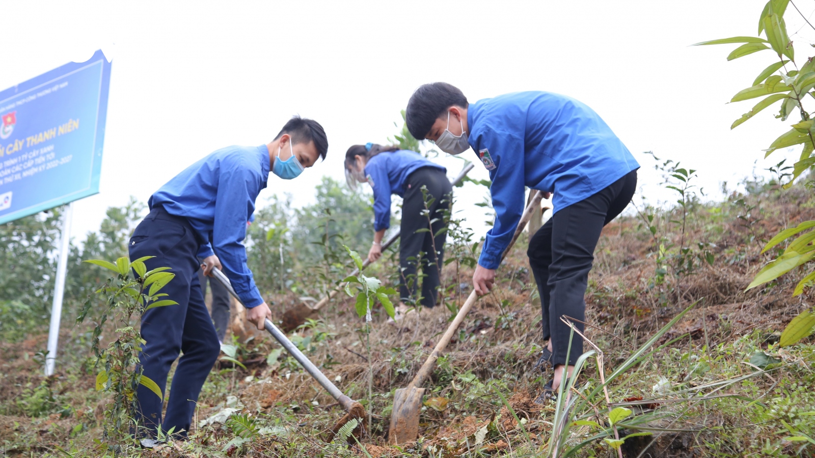 Đoàn viên, thanh niên trồng hơn 10.000 cây xanh nhân dịp Tết trồng cây