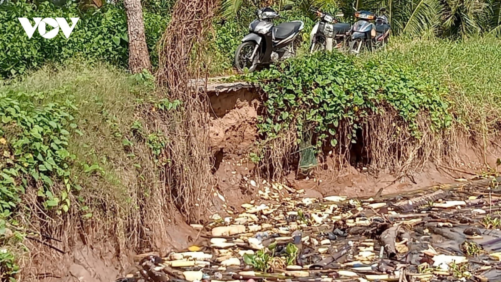 Khẩn trương khắc phục các điểm sạt lở bờ sông tại huyện Cù Lao Dung