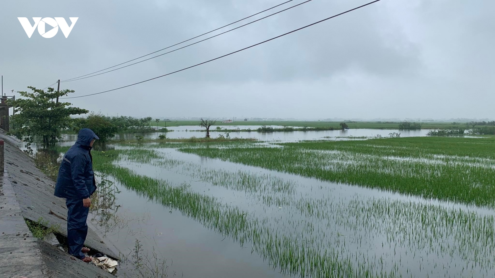 Các tỉnh miền Trung khẩn trương khắc phục hậu quả mưa lũ