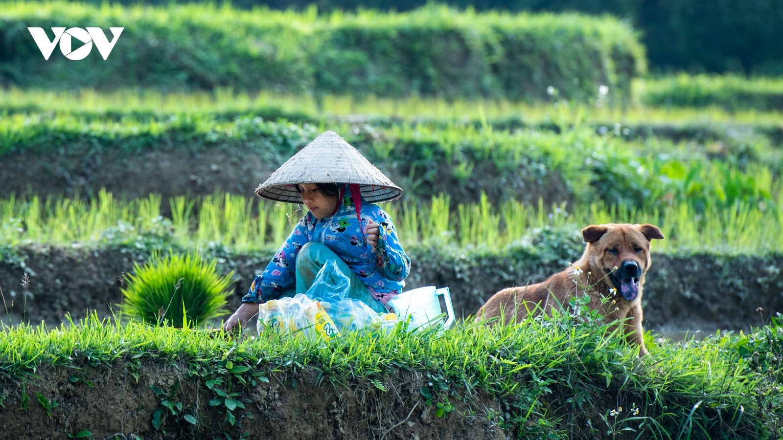 Ngày hè của những đứa bé vùng cao