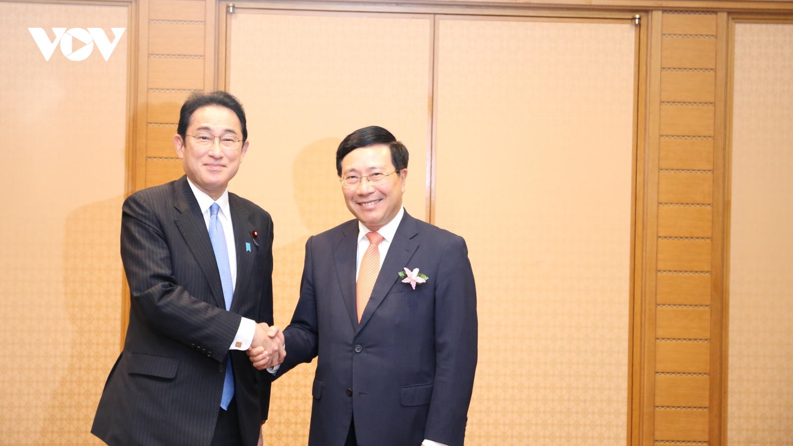 Phó Thủ tướng Phạm Bình Minh chào Thủ tướng Kishida Fumio và tiếp nhiều lãnh đạo Nhật Bản