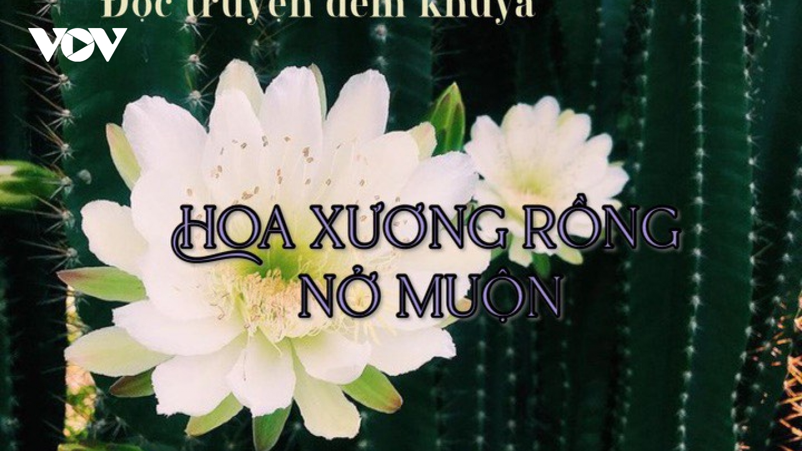 Truyện ngắn "Hoa xương rồng nở muộn" - Sóng gió cuộc đời