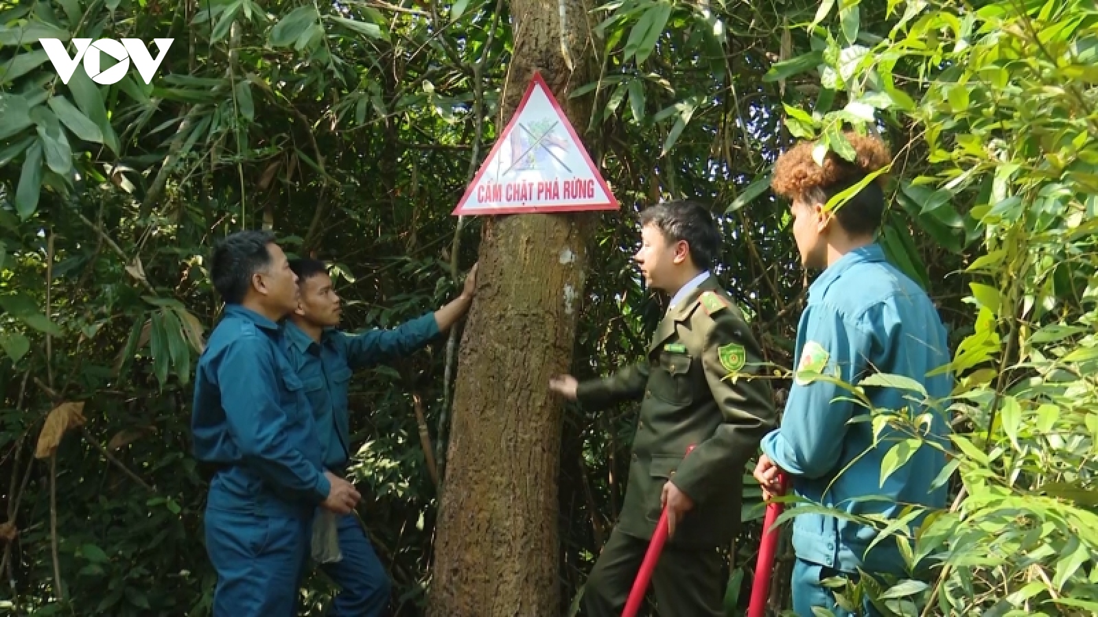 Thêm động lực để người dân gìn giữ và phát triển rừng