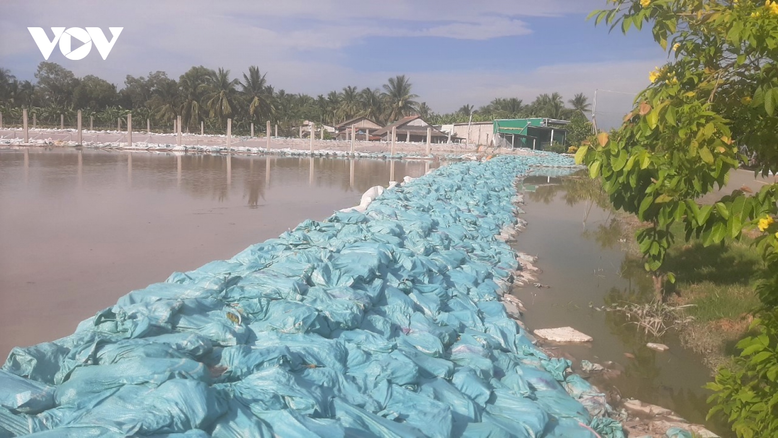 Tỉnh Tiền Giang chỉ đạo xử lý việc ao trữ bùn cát gây ngập úng do VOV phản ánh