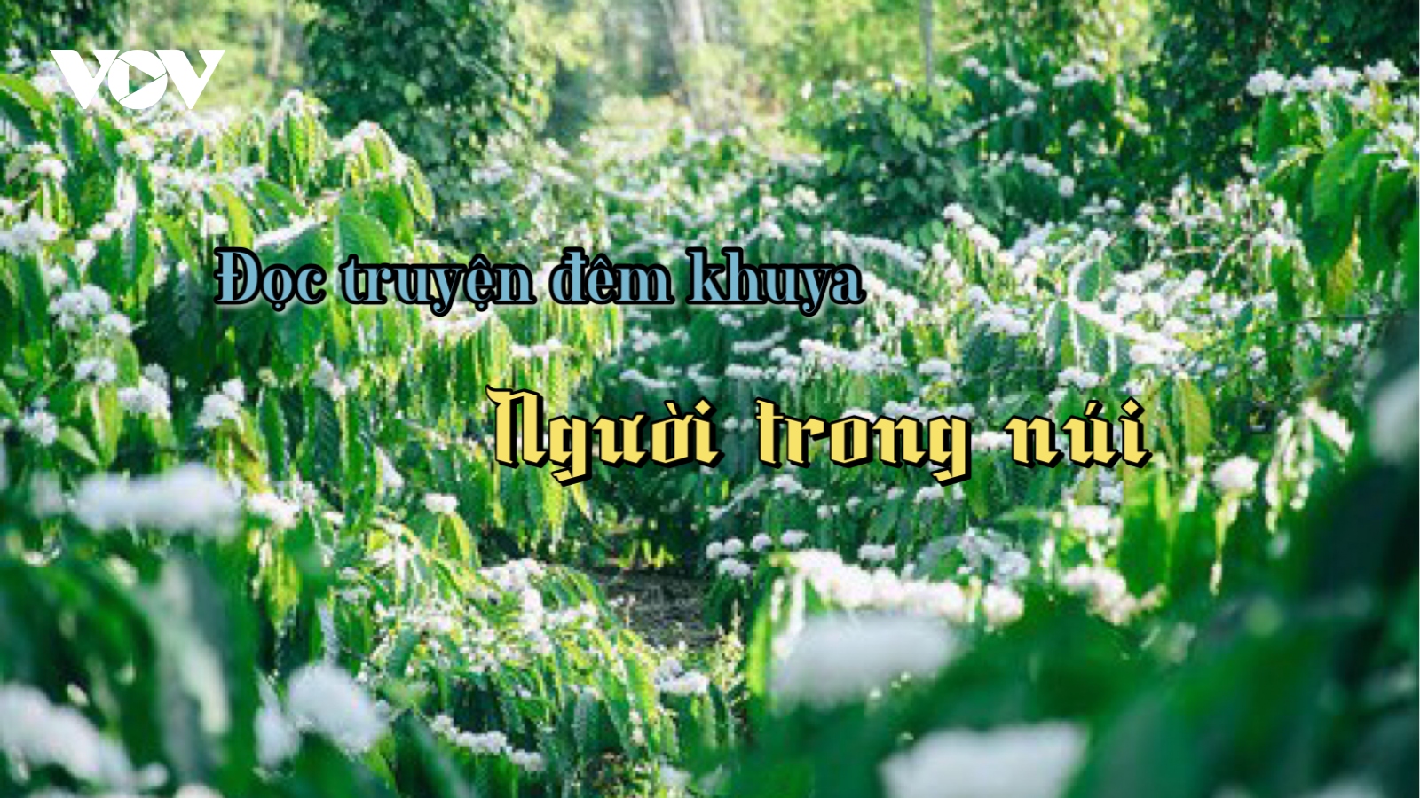 Truyện ngắn "Người trong núi" - Cảm động, lắng sâu về tình người