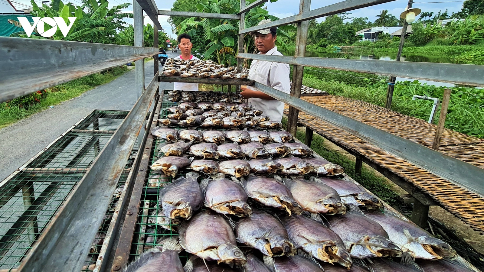 OCOP nâng chất lượng nhãn hiệu “Cá khô bổi U Minh”