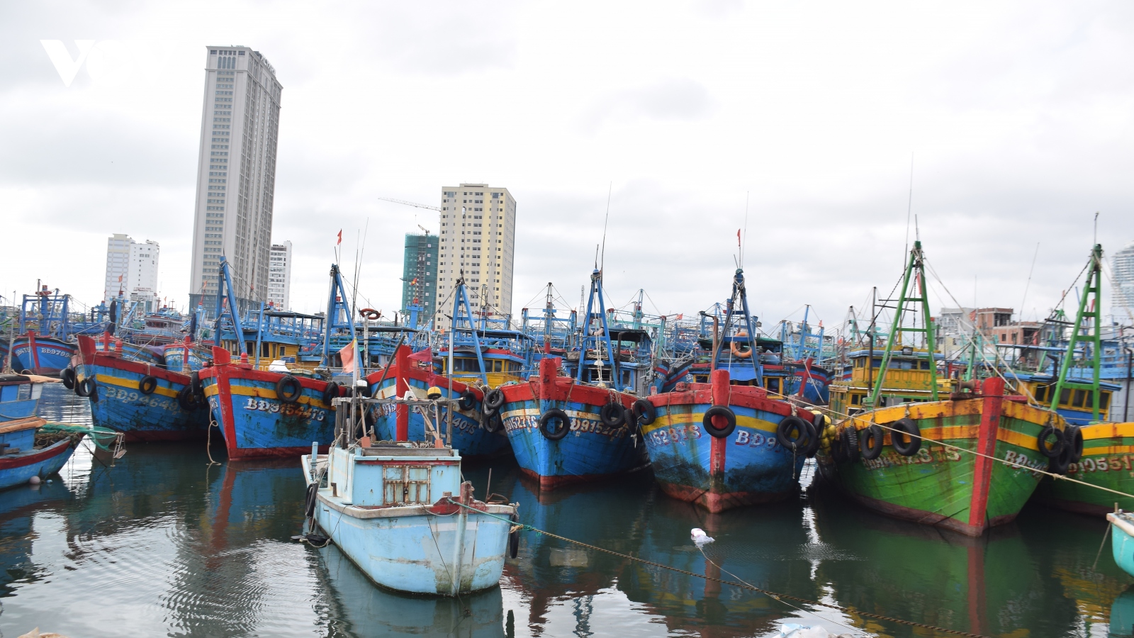 Tàu cá của ngư dân Bình Định bị chìm trên biển, 4 ngư dân được cứu sống