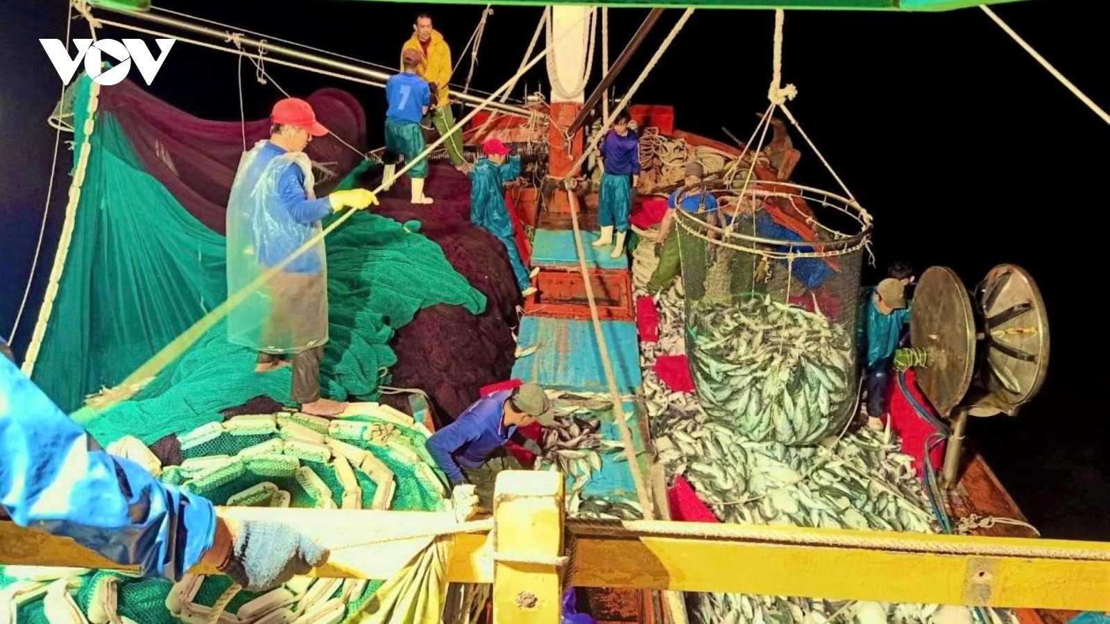 Ngư dân Quảng Bình trúng đậm 250 tấn cá nục, thu 2,4 tỷ đồng
