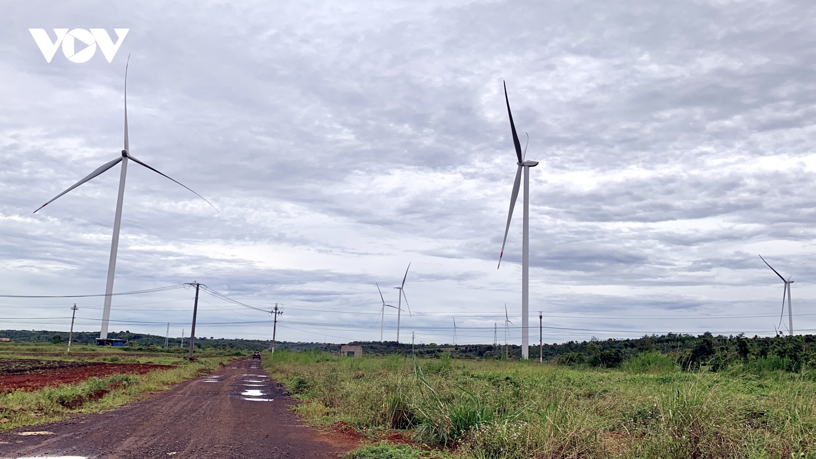 Cú trượt ngã đau đớn của doanh nghiệp điện gió ở Tây Nguyên