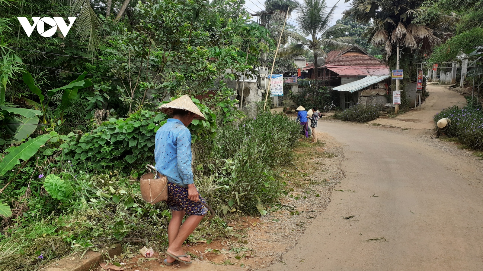Ô nhiễm môi trường ở vùng nông thôn Lào Cai rất đáng ngại