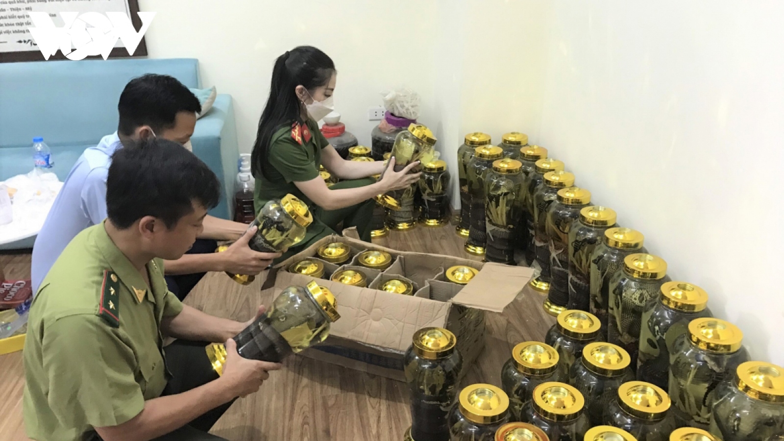 Phát hiện hàng trăm bình rượu ngâm động vật trong tòa chung cư ở Hà Nội