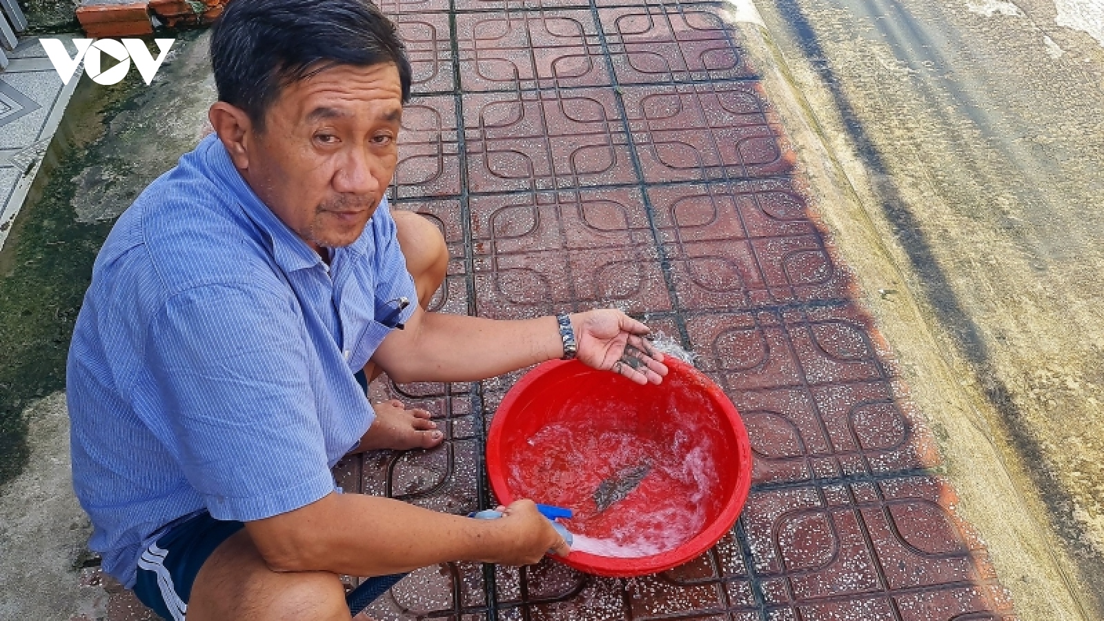 Vụ nước đục ngầu tại khu đô thị Cà Mau: Nguồn nước không sạch?