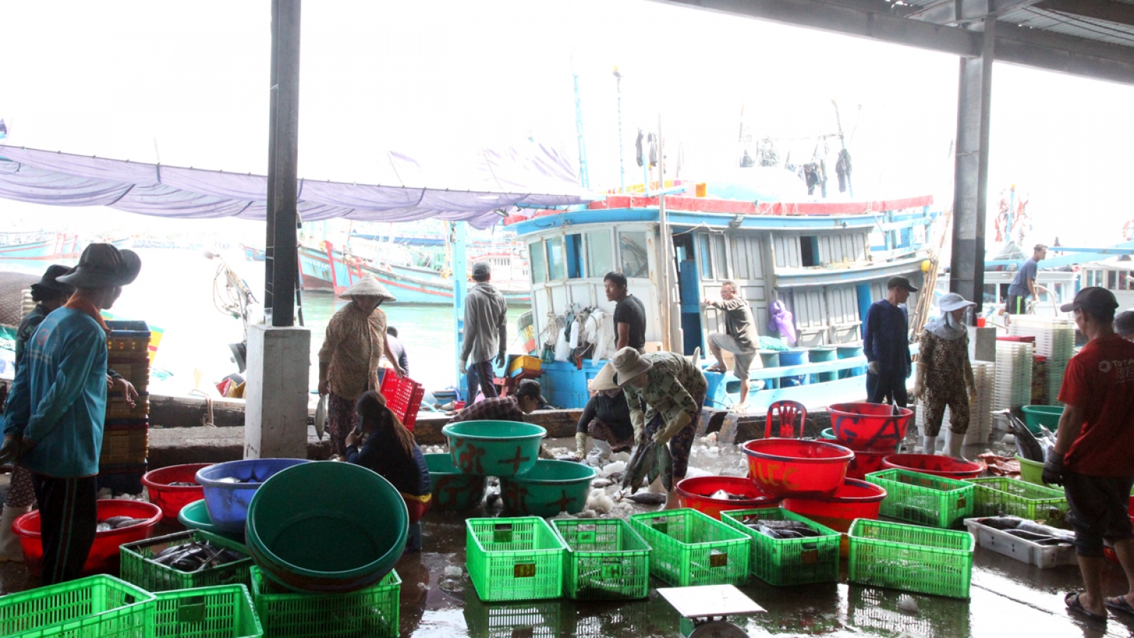 Nhiều lao động bỏ nghề, chủ tàu ở Khánh Hòa “mỏi mắt” tìm bạn đi biển