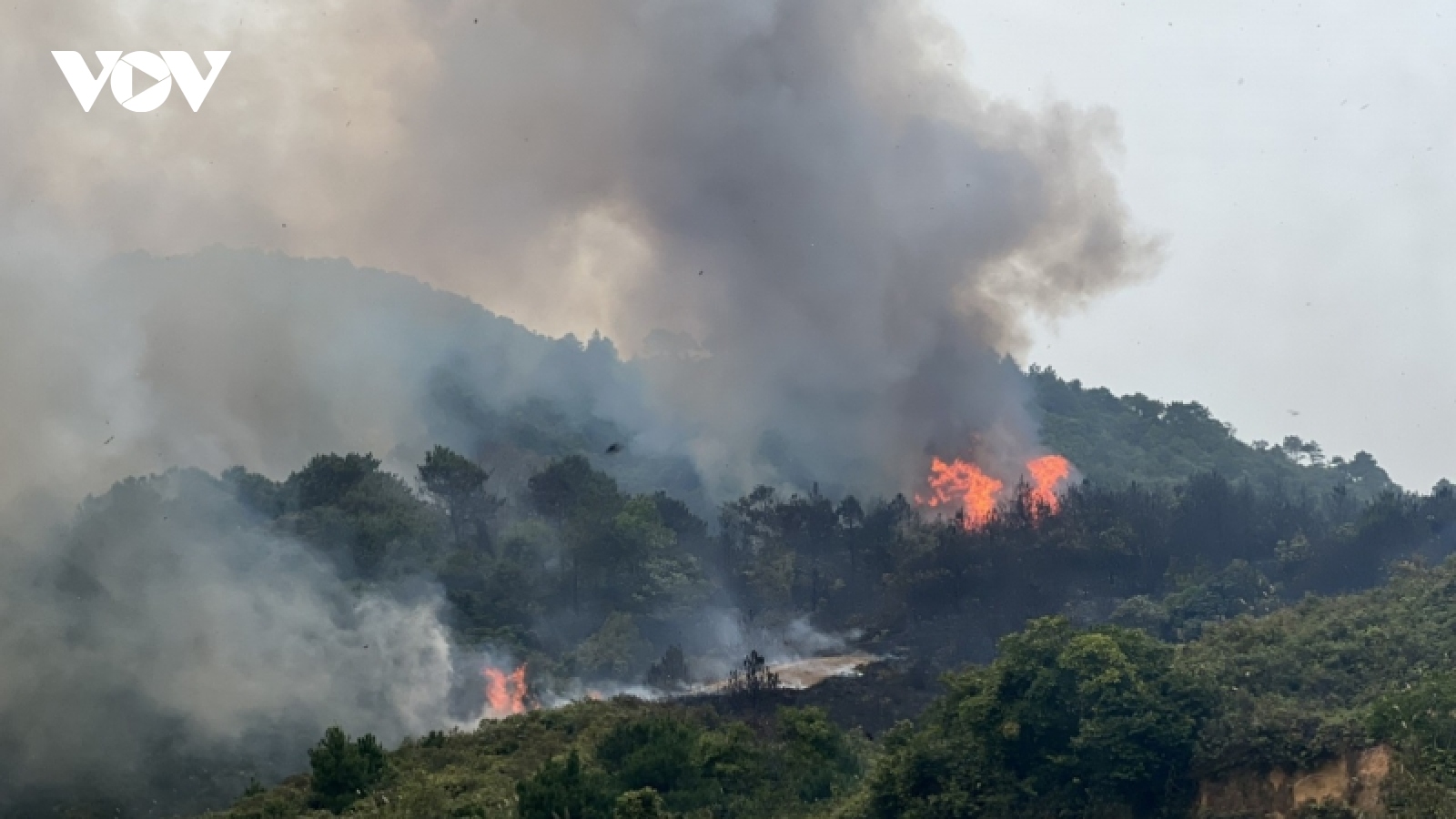 Cháy lớn gây thiệt hại khoảng 6ha rừng tại xã đảo Vĩnh Thực (Quảng Ninh)