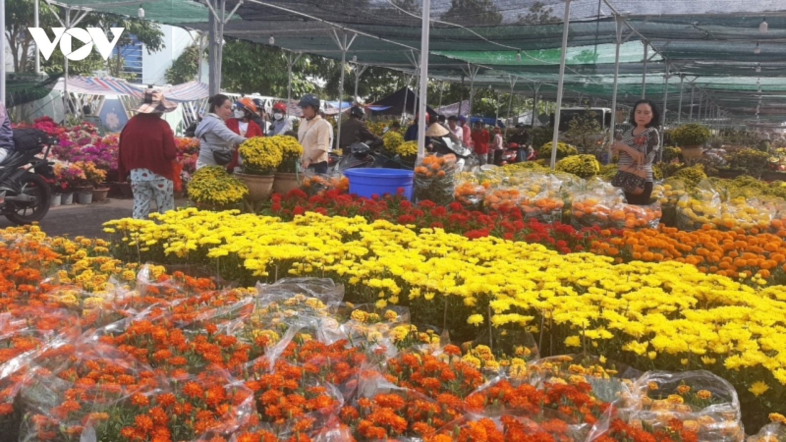 Chợ hoa xuân thành phố Mỹ Tho phong phú, sức mua chậm