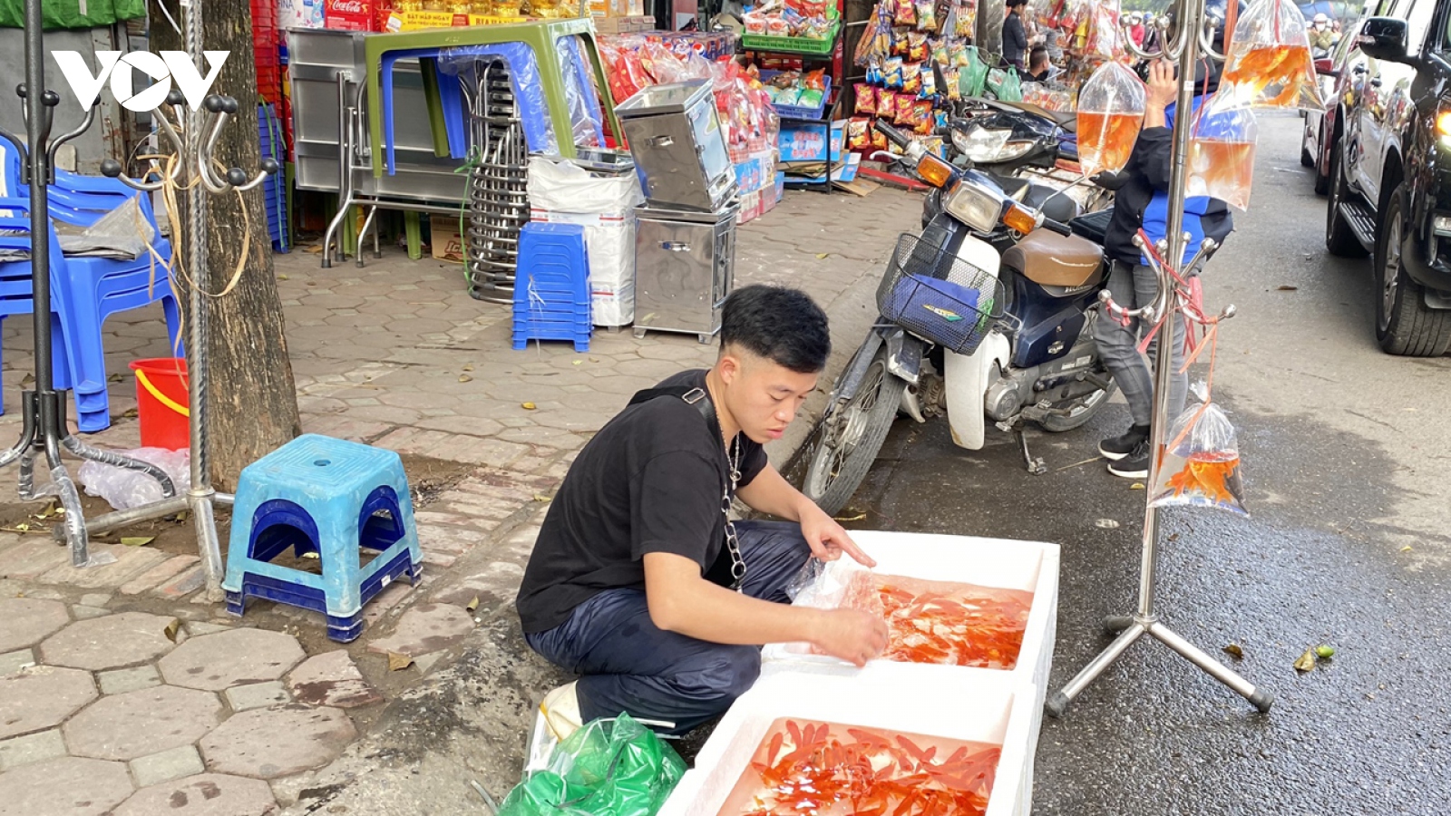 Tết ông Công ông Táo ở Hà Nội: Hàng hoá đa dạng nhưng sức mua giảm sút