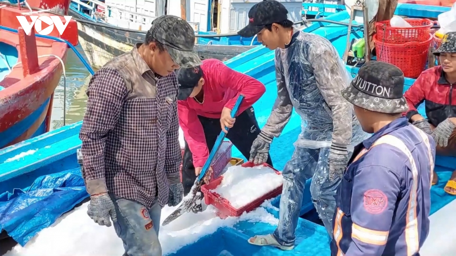 Ngư dân Phú Yên mở biển khai thác cá ngừ đại dương