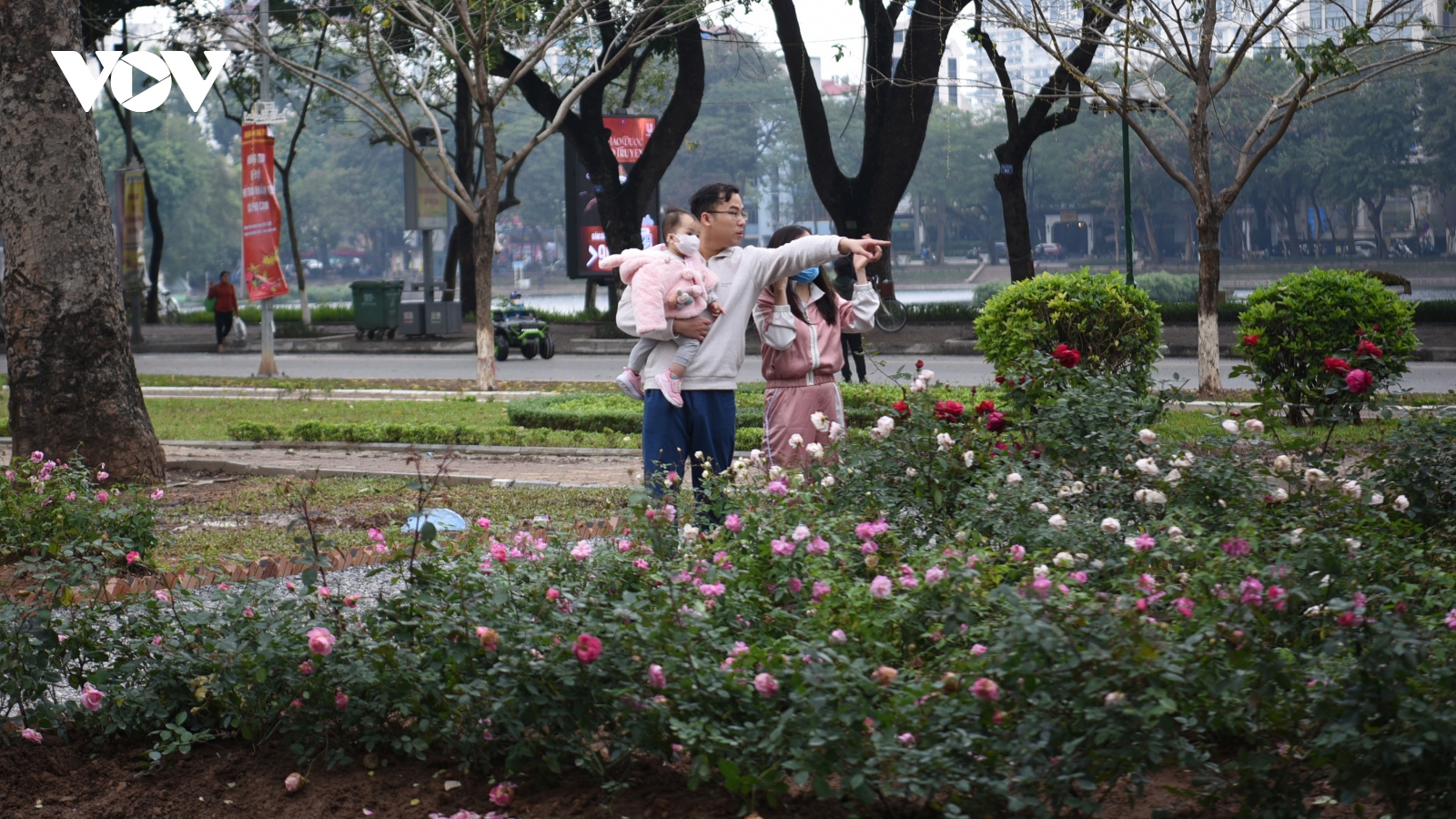Ngỡ ngàng với vườn hồng thơm ngát tại không gian đi bộ hồ Thiền Quang
