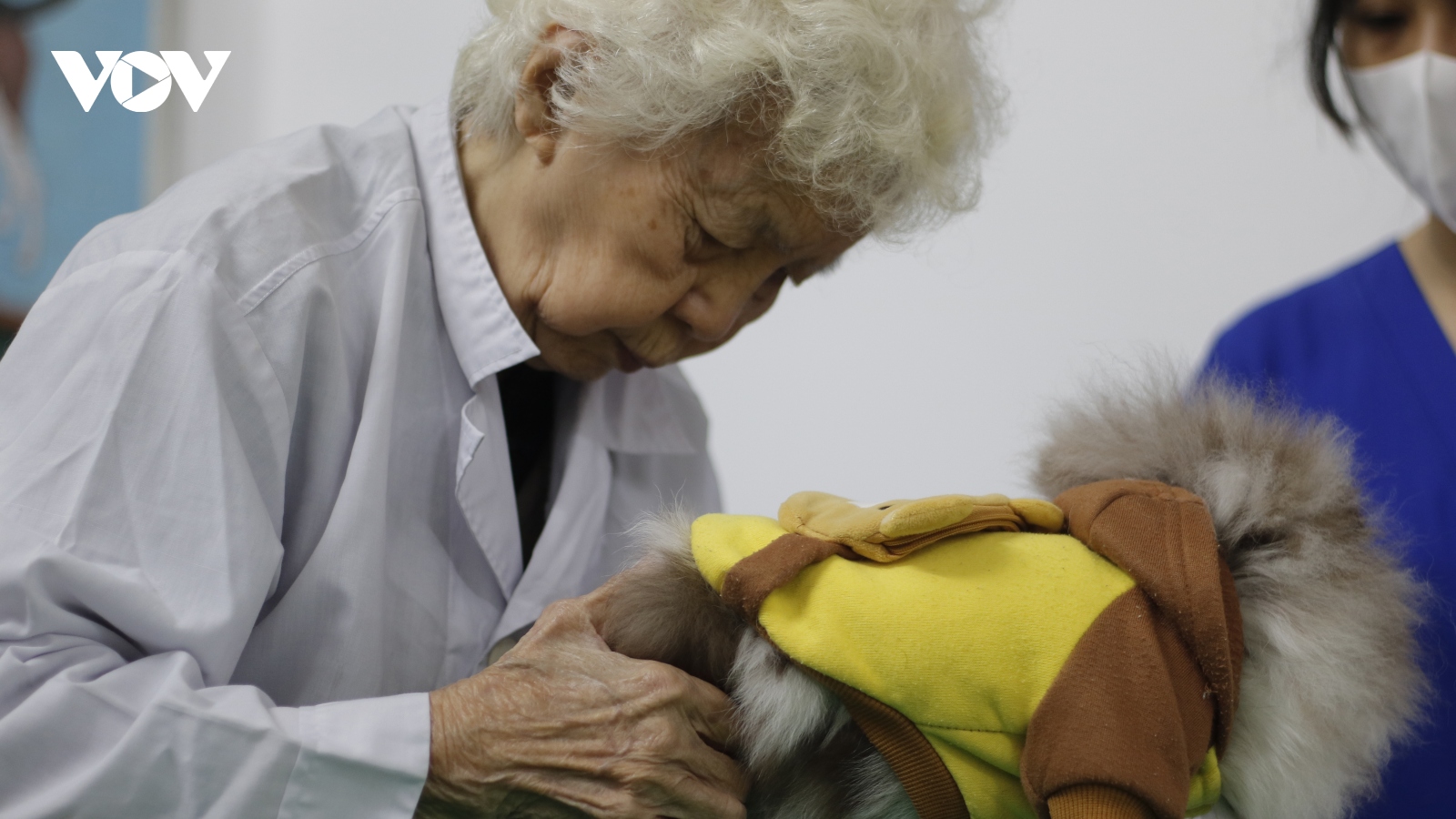 Bà giáo 90 tuổi chữa bệnh miễn phí cho thú cưng ở Hà Nội