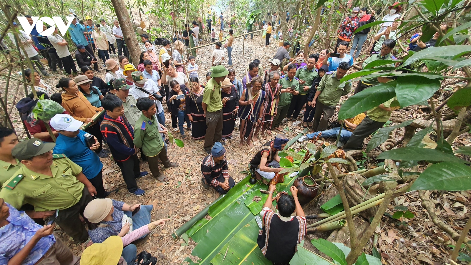 Lời hứa bảo vệ rừng trong nghi lễ truyền thống của người Jrai