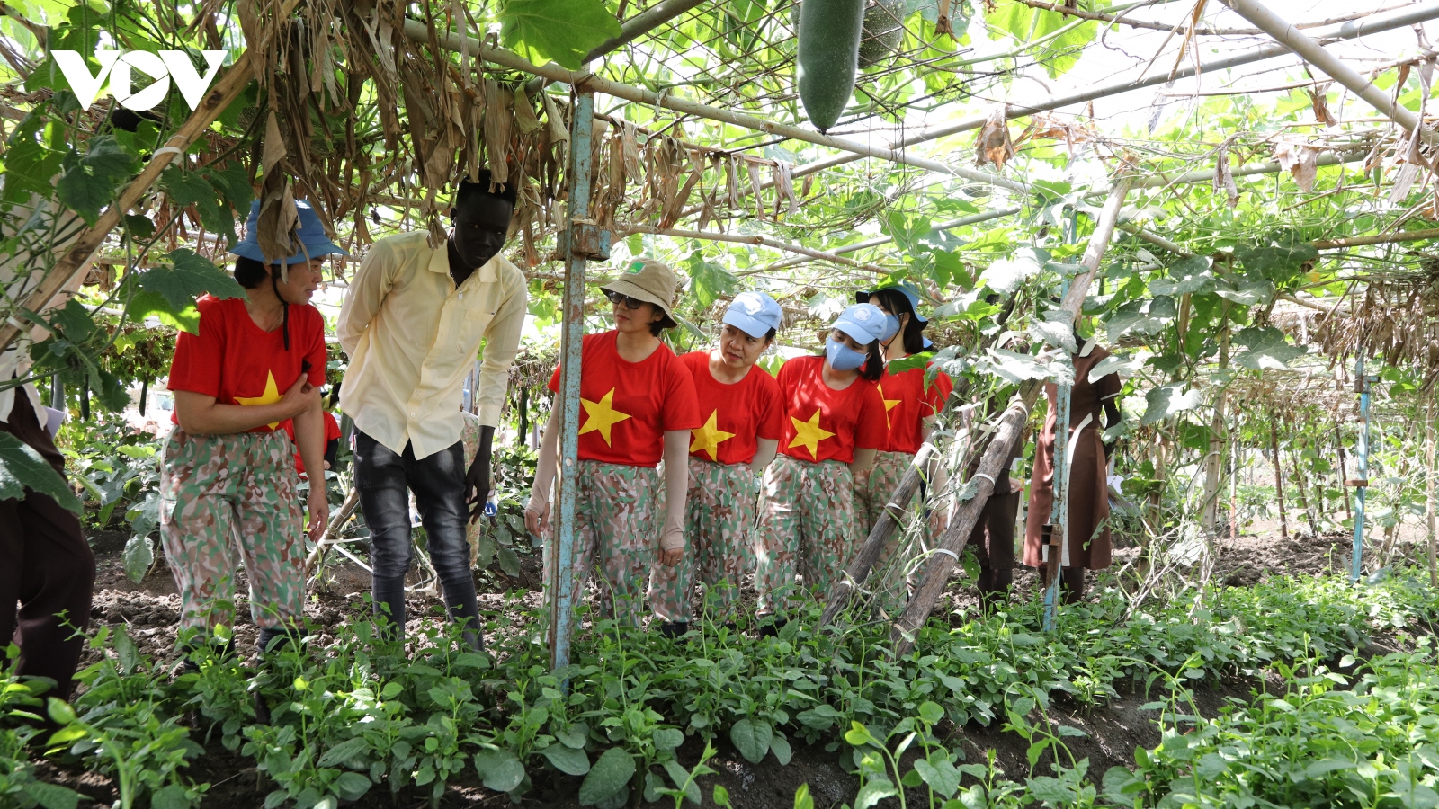 Nữ chiến sỹ "mũ nồi xanh" Việt Nam giúp người dân Abyei phát triển nông nghiệp