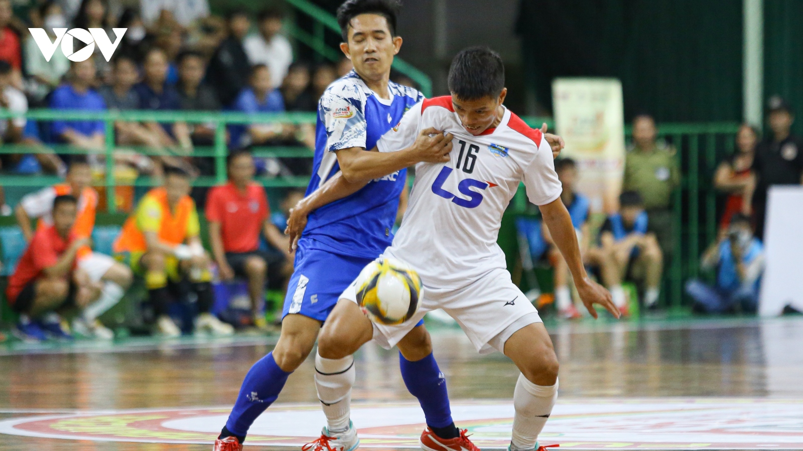 Lịch thi đấu Futsal HDBank VĐQG 2023 hôm nay (13/4): Sahako đọ sức Thái Sơn Bắc