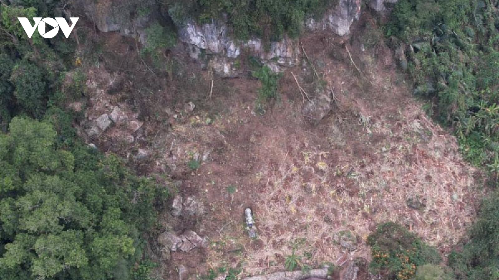 Phát hiện vụ phá rừng đặc dụng tại Vườn Quốc gia Ba Bể