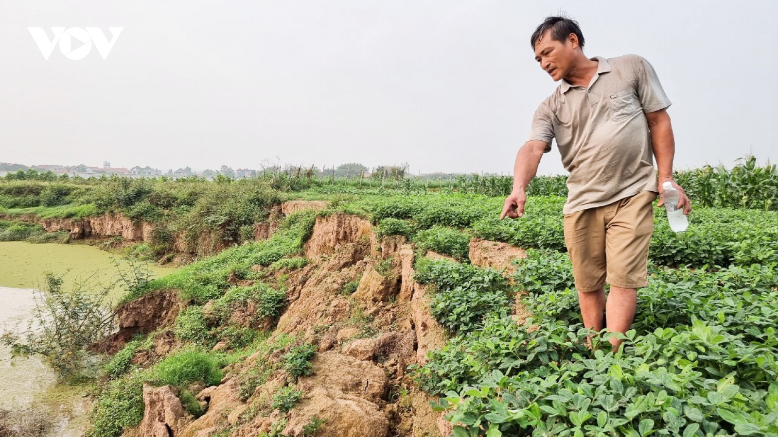 Doanh nghiệp khai thác cát rầm rộ gây sạt lở hàng nghìn m2 đất canh tác ở Bắc Giang