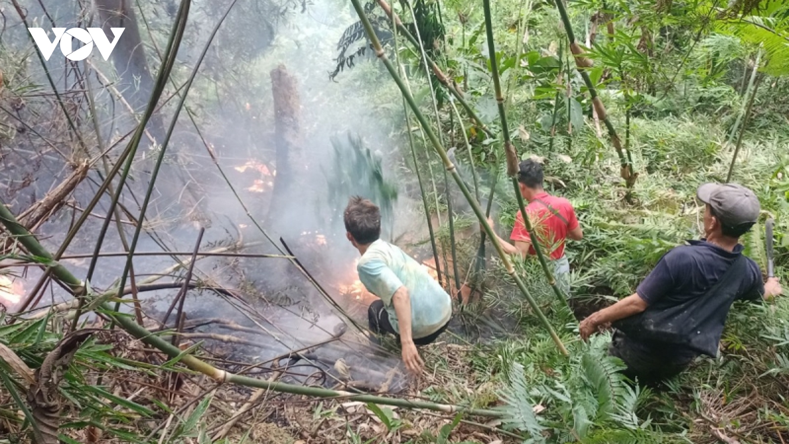 Đám cháy rừng ở Lai Châu được dập tắt sau 2 giờ