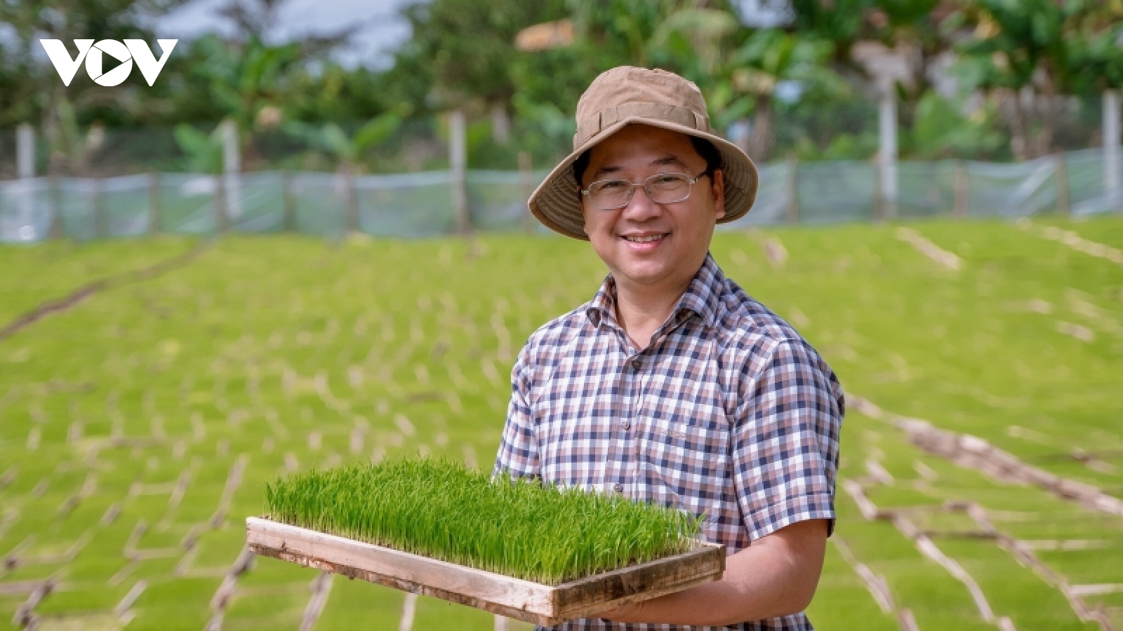 Lần đầu tiên, lúa gạo hữu cơ Quảng Trị được xuất khẩu sang thị trường châu Âu
