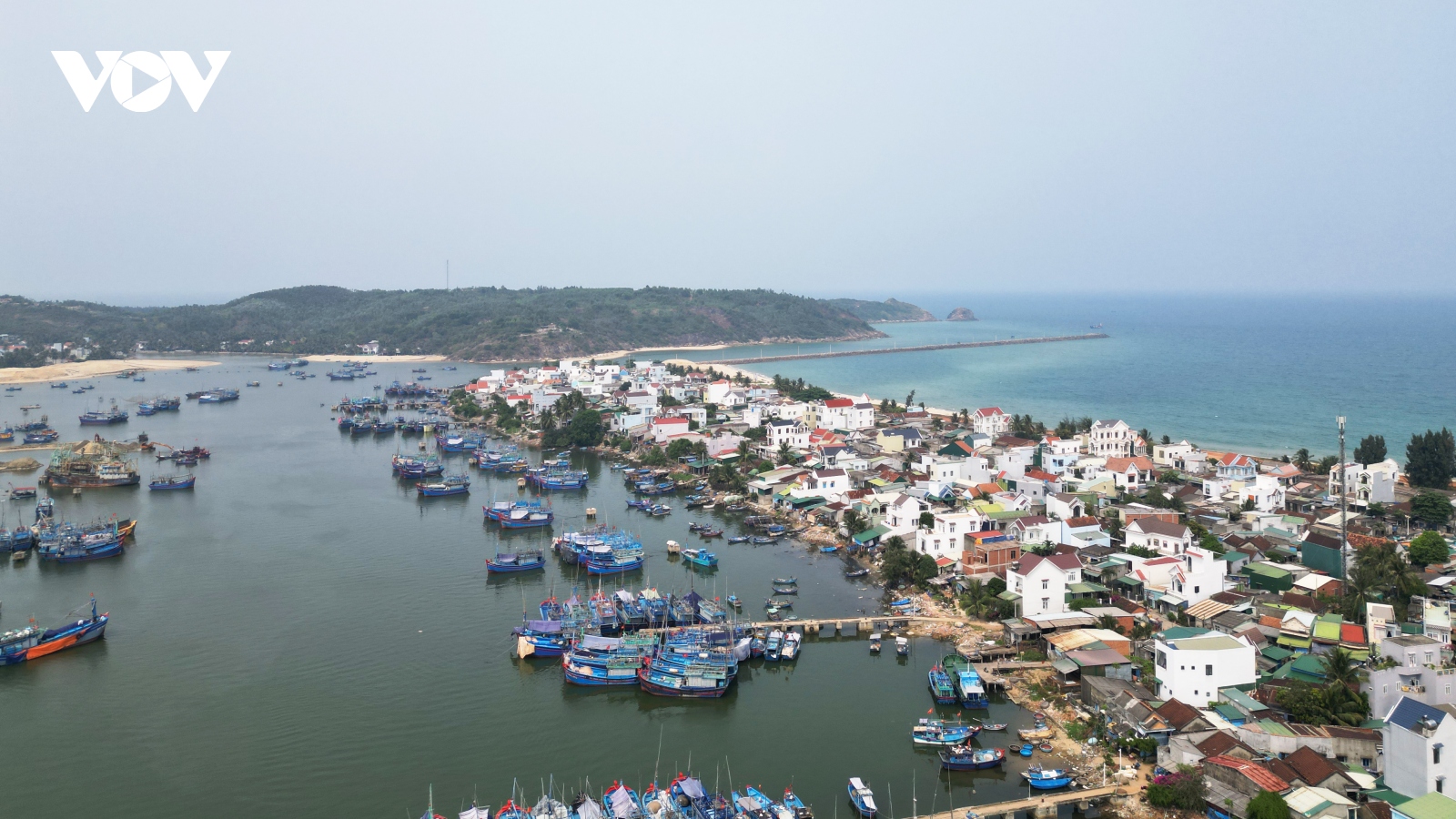 Cửa biển và luồng lạch vào cảng cá Tam Quan bị bồi lấp nghiêm trọng