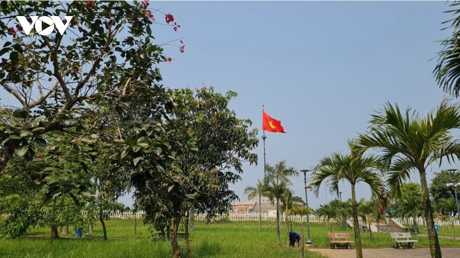 "Vườn cây hòa bình” ở di tích đôi bờ Hiền Lương - Bến Hải