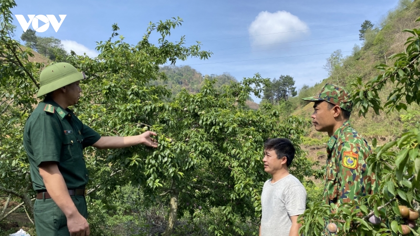 "Bộ đội Cụ Hồ” giúp người dân vùng biên giới Sơn La thoát nghèo