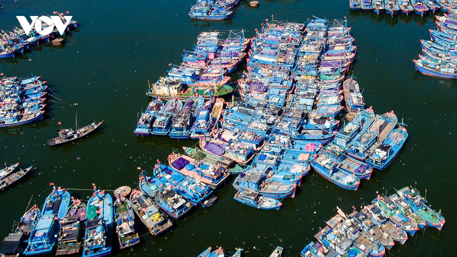 Tập trung gỡ thẻ vàng EC, Đà Nẵng tăng cường kiểm soát tàu cá