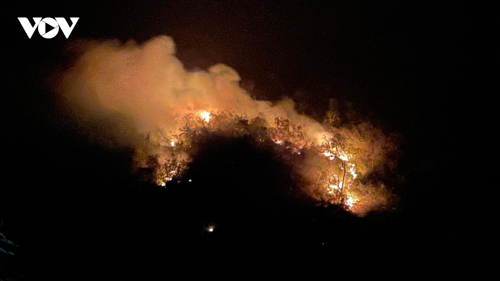 Bắc Kạn huy động gần 100 người kịp thời dập tắt cháy rừng trong đêm