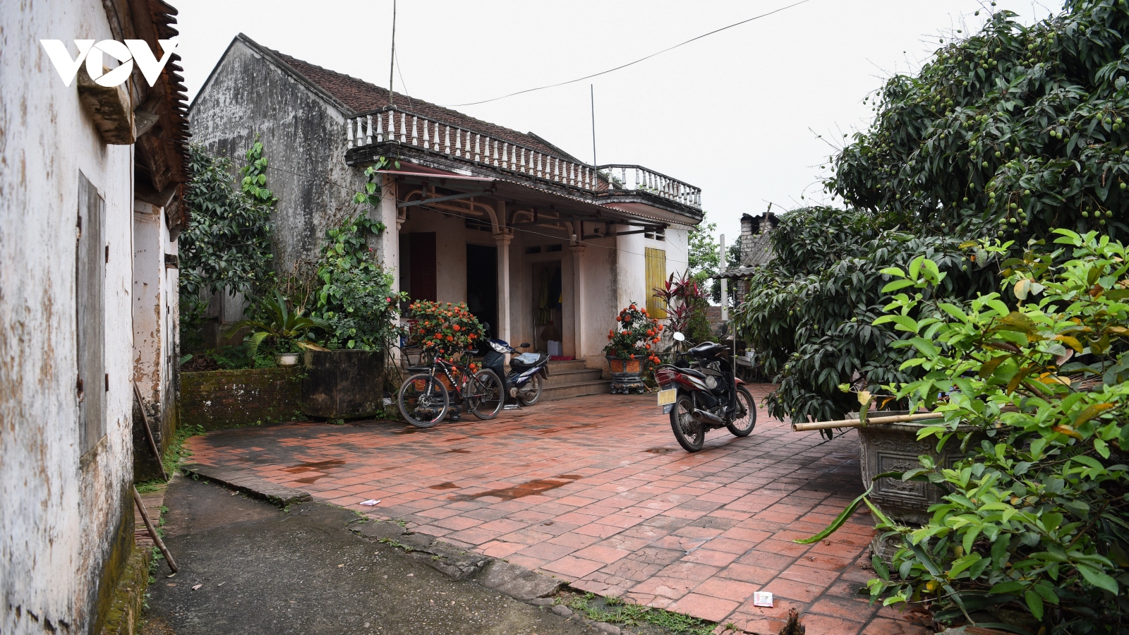 Nơi ăn chốn ở của "cô gái vàng" Nguyễn Thị Oanh ở quê nhà Bắc Giang