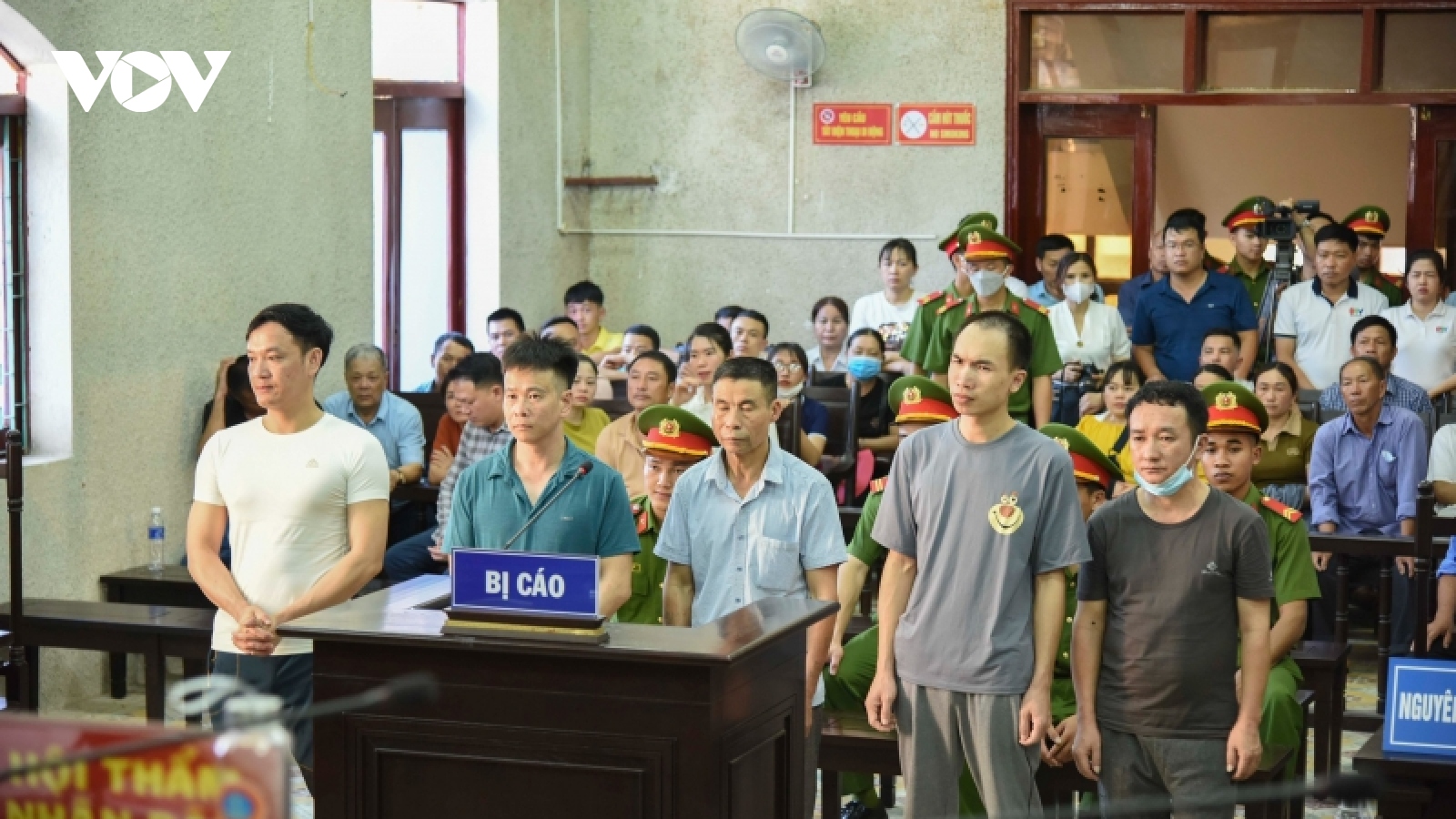 Vụ phá rừng thông trên đỉnh Pha Đin: Tuyên phạt tổng cộng 12 năm 5 tháng tù giam