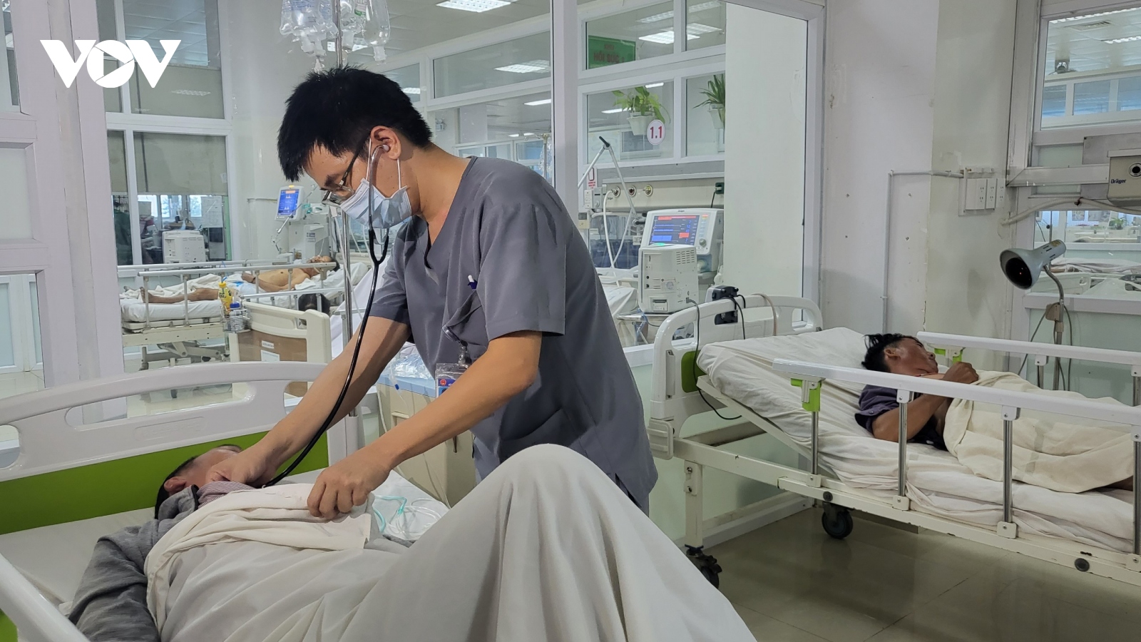 Đắk Lắk: Ăn nấm mọc từ xác ấu trùng ve, 6 người nhập viện cấp cứu