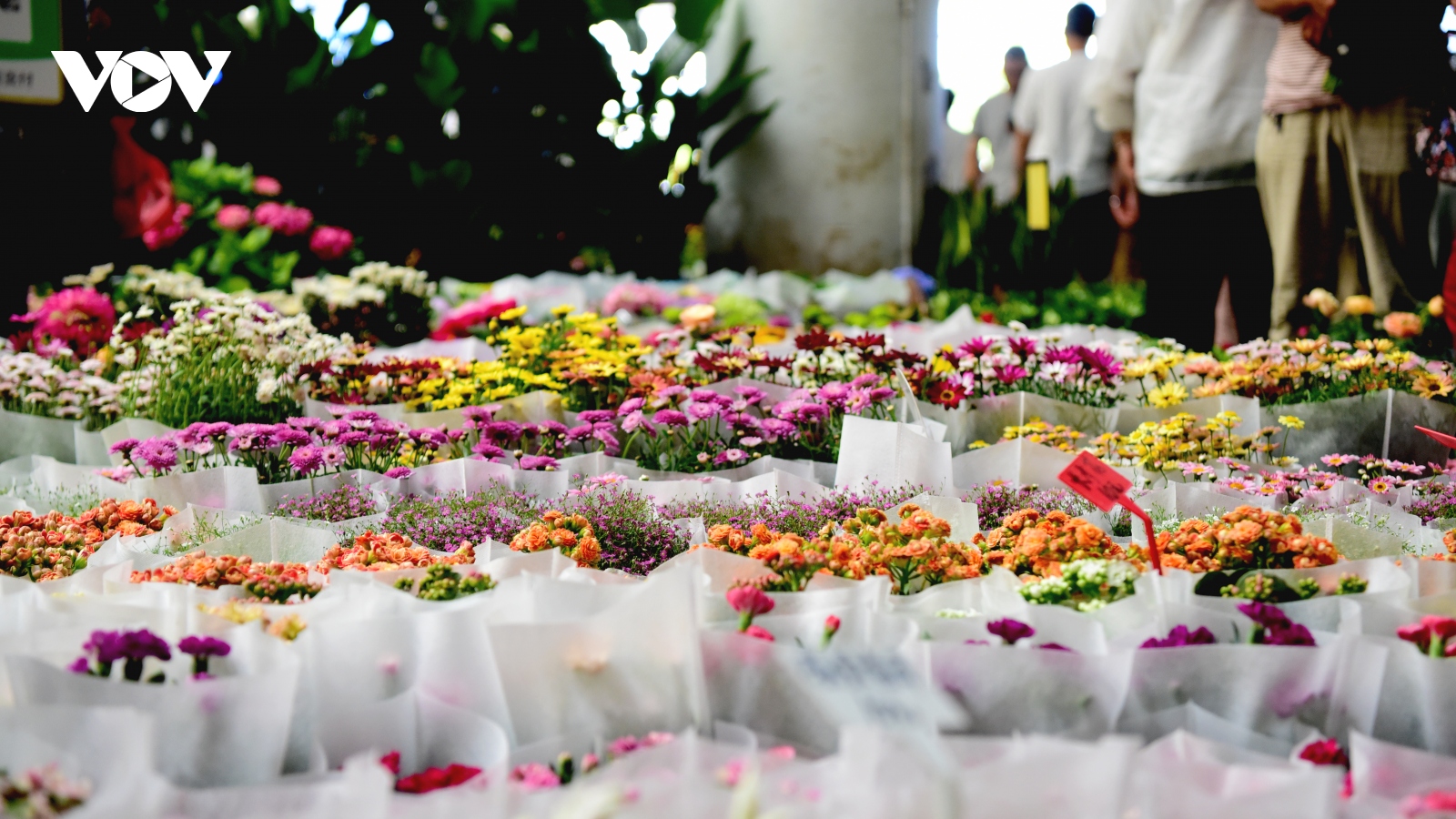 Bên trong chợ hoa lớn nhất châu Á - nơi 1 bó hoa có giá chỉ bằng 1 bông hoa