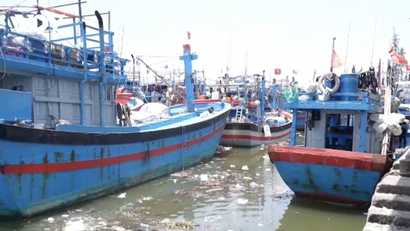 Quảng Ngãi cần đầu tư mở rộng cảng cá đón tàu về bán hải sản