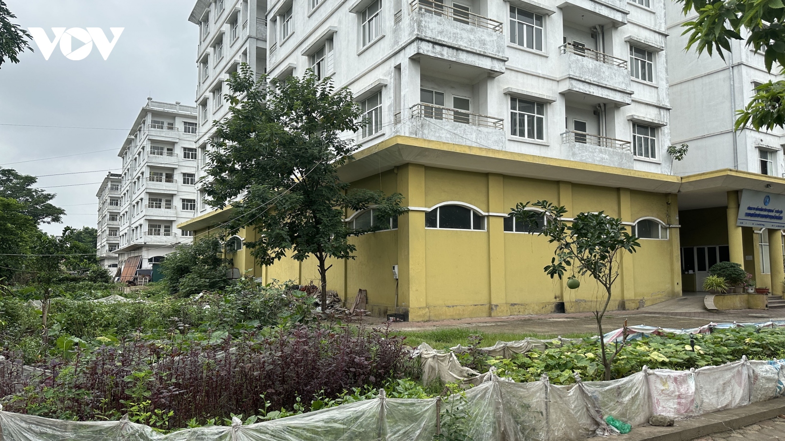 Cận cảnh nhà tái định cư trong Khu đô thị Sài Đồng bỏ không lãng phí