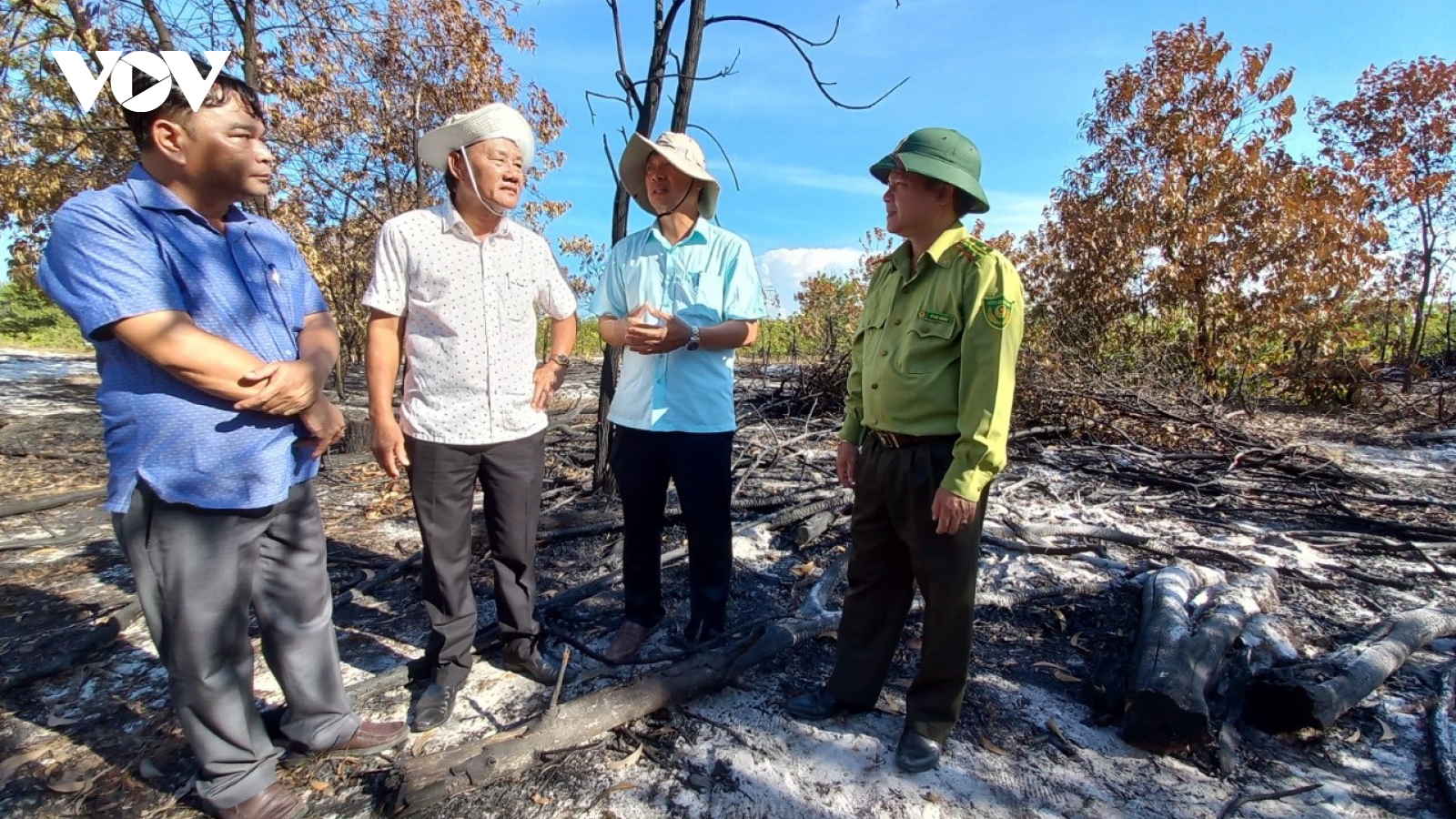 Liên tiếp xảy ra cháy rừng phòng hộ ven biển Quảng Nam
