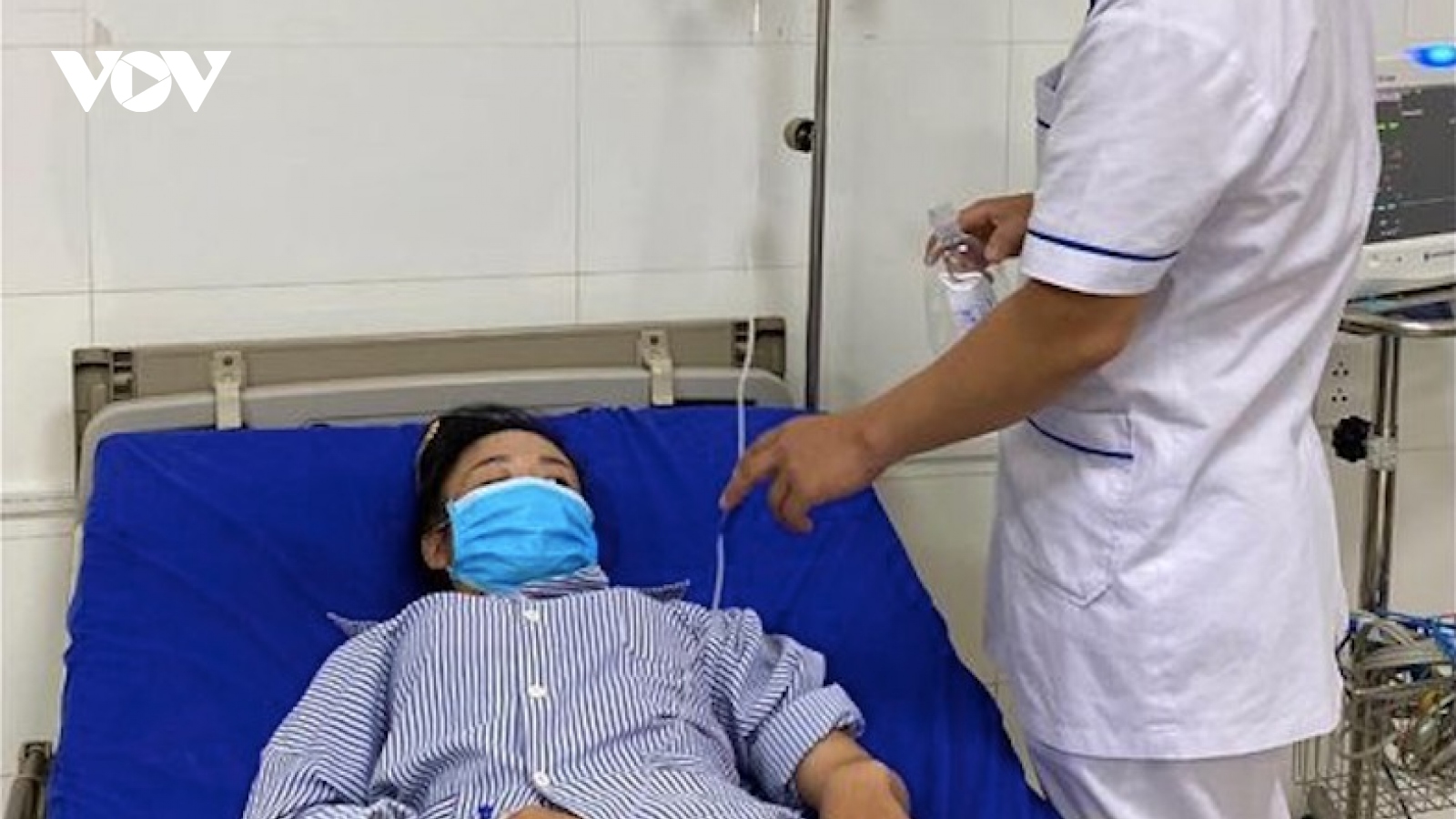 Ngộ độc nấm, 6 người tại Sơn La phải nhập viện